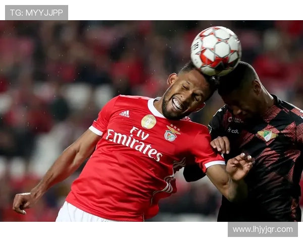 本菲卡崛起与欧洲赛场新征程